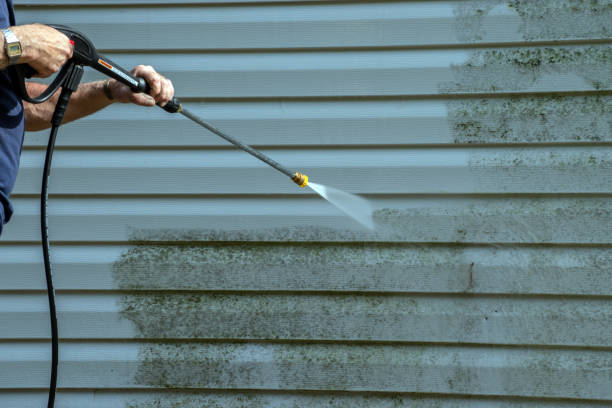 Best Gutter Cleaning  in Ama, LA